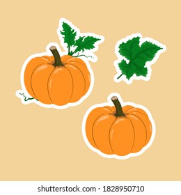 Vector ambientado con calabaza anaranjada de dibujos animados y hojas verdes. Colección de pegatinas, etiquetas y etiquetas de verduras del otoño. Calabazas otoñales para cortar, imprimir, para la fiesta de Halloween, diseño del Día de Acción de Gracias.  