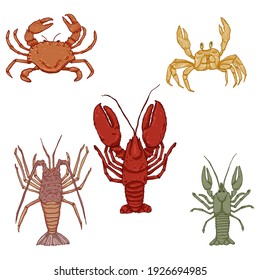 Vector Set of Cartoon Sea Animals. Omar, Lobster and Crab. Crustaceans Illustrations.