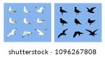 Vector set of cartoon seagulls and  sea gull silhouette. Cartoon atlantic seabird in a flat style. Seagulls flying in the blue sky.