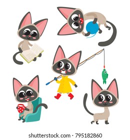 Vector set of cartoon siamese funny cat isolated on white background. Cute, funny cat, kitten character doing various actions used for magazine, book, poster, card, web pages.