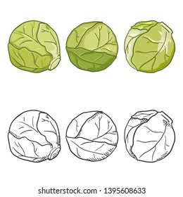 Vector Set of Cartoon and Sketch Illustrations - Brussels Sprouts