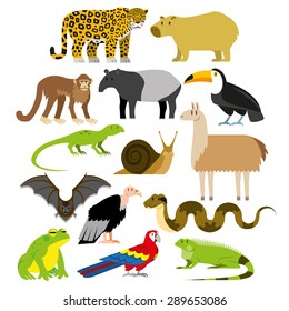 1,117 South american tapir Images, Stock Photos & Vectors | Shutterstock