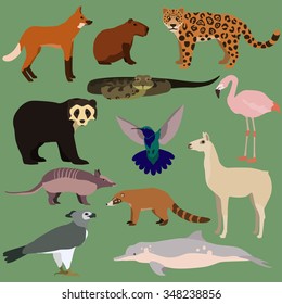 Vector set of cartoon south american animals. Anaconda, jaguar, chilean flamingo, maned wolf, harpy eagle, coati, armadillo, colibri, lama, capybara, spectacled bear, amazon river dolphin.