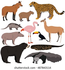 Australian Wild Vector Animals Cartoon Collection Stock Vector (Royalty ...