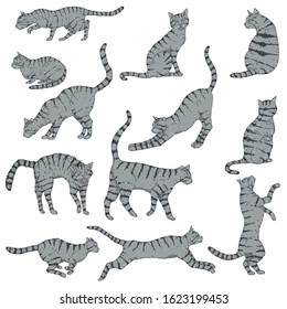 Vector Set of Cartoon Striped Cats. Different Feline Poses and Variation.