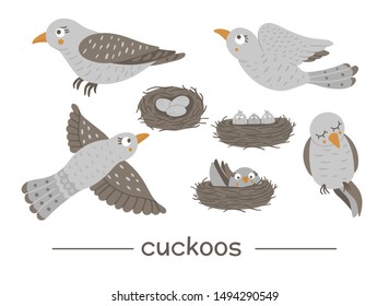 Vector set of cartoon style hand drawn flat funny cuckoos in different poses. Cute illustration of woodland birds for children’s design