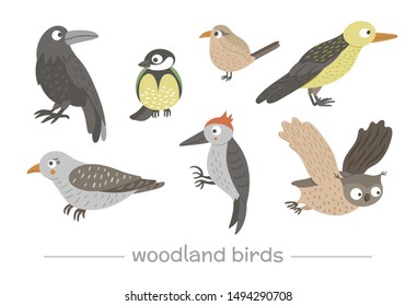 Vector set of cartoon style hand drawn flat funny cuckoos, woodpeckers, owls, raven, wren. Cute illustration of woodland birds for children’s design