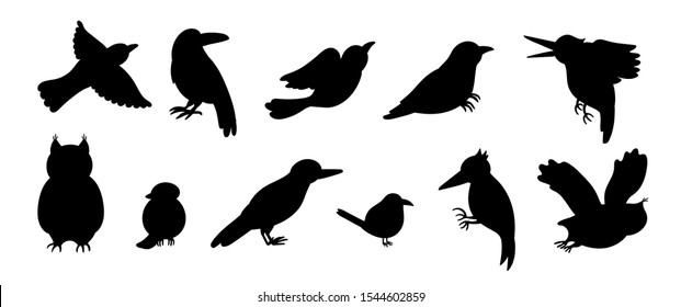 Vector set of cartoon style hand drawn flat funny cuckoos, woodpeckers, owls, raven, wren silhouettes. Cute black and white illustration of woodland birds for children’s design. 