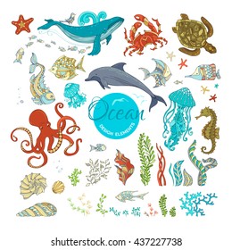 Vector set of cartoon wild animals and plants. Ocean design elements isolated on white. Whale, dolphin, octopus, turtle, fish, starfish, crab, shell, jellyfish, seahorse, seaweed. Underwater sea life.