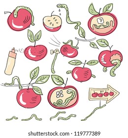 Vector set - cartoon  worms eat apples