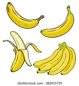 Vector Set of Cartoon Yellow Bananas. Overripe Banana, Single Banana , Peeled Banana, Bunch of Bananas.