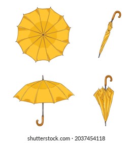 Vector Set of Cartoon Yellow Umbrellas. Different View and Variation.