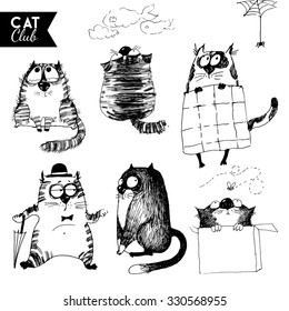 vector set of cat characters 