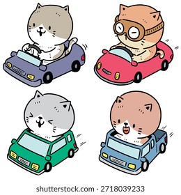 Conjunto de Vector de coche de conducción de gato