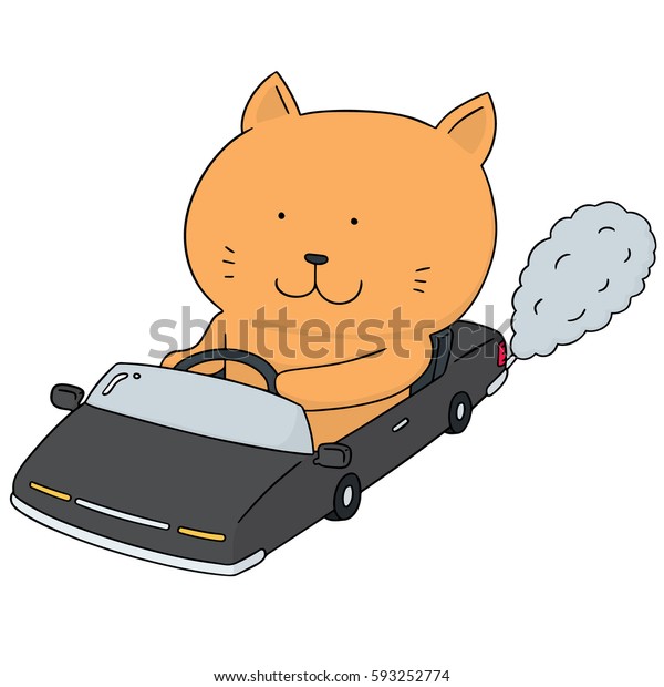 vector set of cat driving\
car
