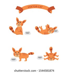 vector set cat orange , cats with different expressions, cats with their food containers, vector cartoon flat illustrations,cat cute set,set of funny cat characters