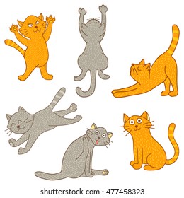 vector set of cats in different poses on isolated background
