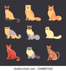 Vector set of cats in a flat style isolated on background. Collection of pets.