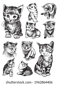 Vector set of cats on white, adorable kittens elements in grapical style