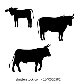 Vector Set of Cattle Silhouettes. Farm Animals Illustration. Calf, Cow and Bull