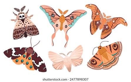 Vector set of celestial moths isolated on white background.Colorful magic insects with floral and animal ornament.Mystic symbols and occult signs.Design for boho posters,magical cards,stickers.
