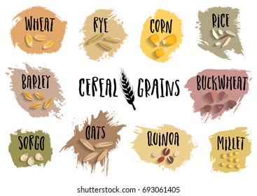 Conjunto vetorial de emblemas de cereais com letras manuscritas pretas e grãos estilizados desenhados à mão. Para embalar grumos, anunciar alimentos saudáveis.