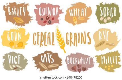 Vector set of cereal emblems with white handwritten lettering and hand-drawn stylized grains. For packing groats, advertising healthy food.