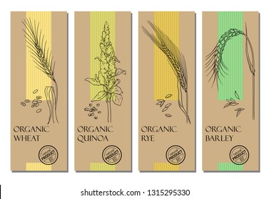 Vector set of cereal labels with grains and plants sketches: wheat, quinoa, rye and barley. Healthy food, bio, organic, natural product, craft packaging