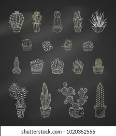 Vector set of chalk cacti and succulents on blackboard background. Various cacti with prickles and flowers in flower pots or cups. Hand-drawn icon set.