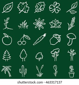 Vector Set of Chalk Doodle Plants Icons