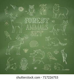 Vector set of chalk forest animals on green blackboard background. Cute owl, hare, snail, snake, squirrel, moose, bear, fox, wolf, deer, raccoon, hedgehog. Hand-drawn animals, birds and insects.