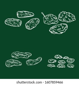 Vector Set of Chalk Sketch Dried Fruits. Prune, Date Fruit, Raisin and Dried Apricot.