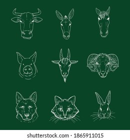 Vector Set of Chalk Sketch Farm Animals Heads. Front View.