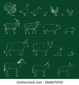 Vector Set of Chalk Sketch Farm Animals. Collection of Rustic Pets