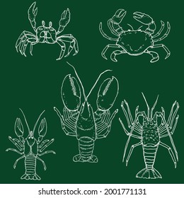 Vector Set of Chalk Sketch Sea Animals. Omar, Lobster and Crab. Crustaceans Illustrations.
