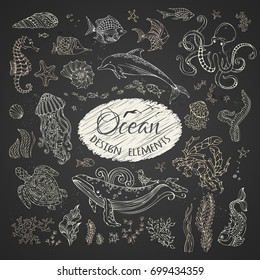 Vector set of chalk wild animals and plants. Ocean design elements on dark blackboard background. Whale, dolphin, octopus, fish, crab, shell, jellyfish, algae, turtle. Underwater sealife.