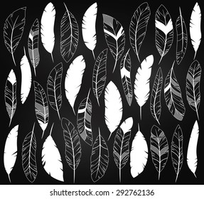 Vector Set of Chalkboard Feathers and Feather Silhouettes