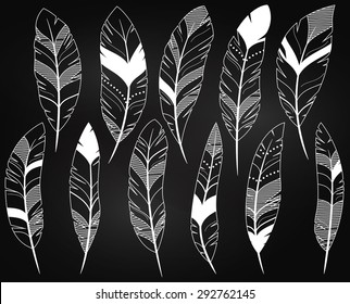 Vector Set of Chalkboard Feathers and Feather Silhouettes