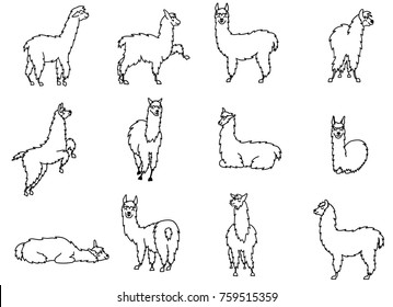 Vector set of characters. Illustration of south America cute lama. Isolated outline cartoon baby llama. Hand drawn Peru animal guanaco, alpaca, vicuna. Drawing for print, fabric, textile etc