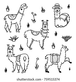 Vector set of characters. Illustration of south America cute lama with decorations. Isolated outline cartoon baby llama. Hand drawn Peru animal  guanaco, alpaca, vicuna. Drawing for print, fabric.