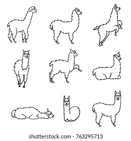 Vector set of characters. Illustration of south America cute lama. Isolated outline cartoon baby llama. Hand drawn Peru animal guanaco, alpaca, vicuna. Drawing for print, fabric, textile etc