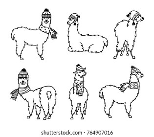 Vector set of characters. Illustration of south America cute lama in winter hat and scarf. Isolated outline cartoon baby llama. Hand drawn Peru animal guanaco, alpaca, vicuna. Drawing for print.