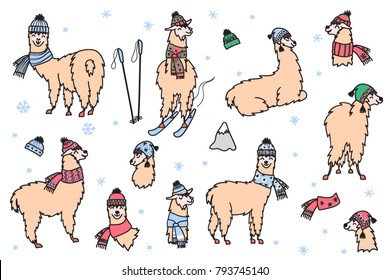 Vector set of characters. Illustration of south America cute lama in winter hat and scarf. Isolated outline cartoon baby llama. Hand drawn Peru animal guanaco, alpaca, vicuna. Drawing for print.