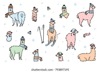 Vector set of characters. Illustration of south America cute lama in winter hat and scarf. Isolated outline cartoon baby llama. Hand drawn Peru animal guanaco, alpaca, vicuna. Drawing for print.