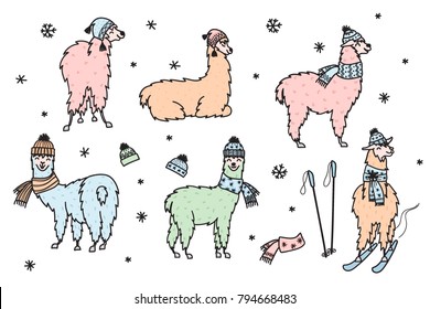 Vector set of characters. Illustration of south America cute lama in winter hat and scarf. Isolated outline cartoon baby llama. Hand drawn Peru animal guanaco, alpaca, vicuna. Drawing for print.