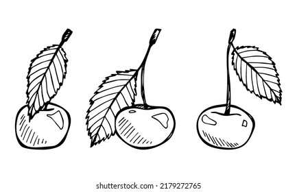 Vektorset von Kirschklingelkunst. Handgezeichnete Beerensymbol. Obstgrafik. Für Druck, Web, Design, Dekoration, Logo.