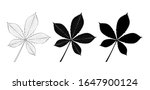 Vector set of chestnut leaves, outline and silhouette.