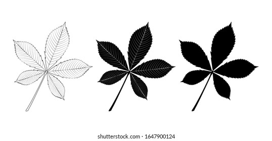 Vector set of chestnut leaves, outline and silhouette. svg