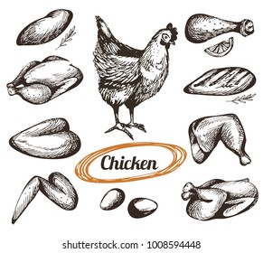 Vector set with chicken