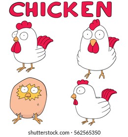 vector set of chicken